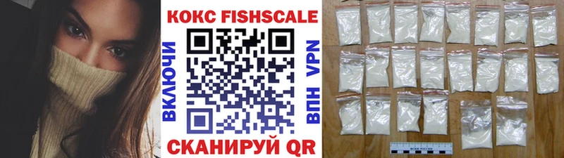 ссылка на мегу зеркало Темников Cocaine FishScale наркошоп