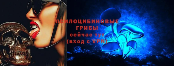 МДПВ Абаза