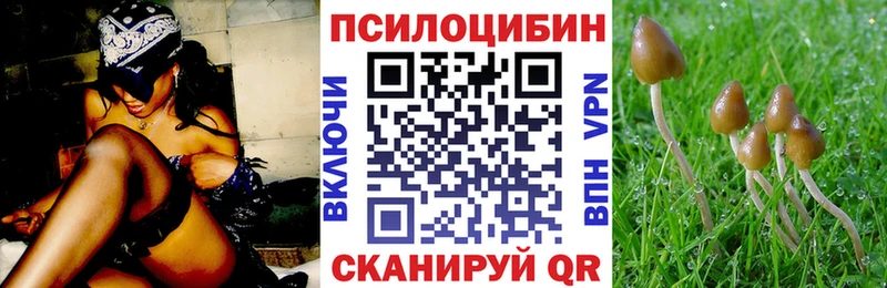 Галлюциногенные грибы MAGIC MUSHROOMS  Темников 